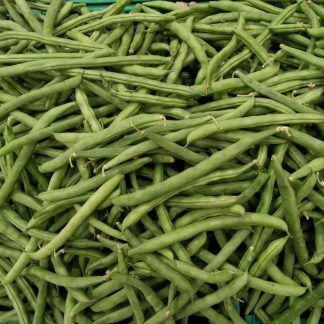 Habichuelas redonda