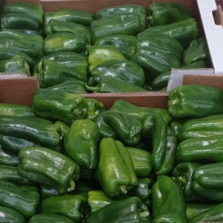 Pimiento verde
