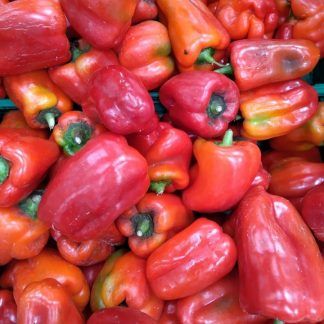 Pimiento rojo