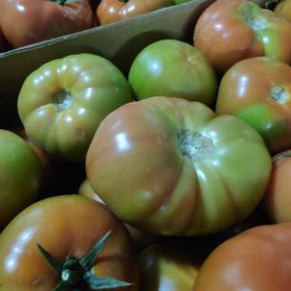 Tomate ensalada