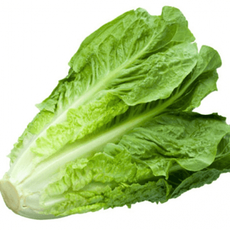 Lechuga