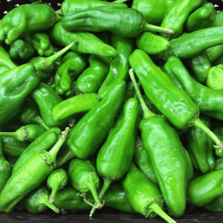 Pimientos Padrón