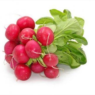 Rabanillo