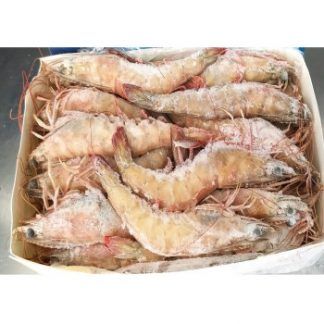 Langostino Nº1 Salvaje