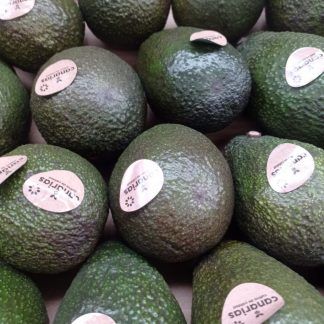 Aguacate Hass