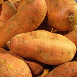 Batata amarilla