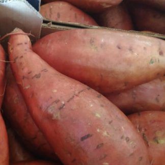 Batata roja