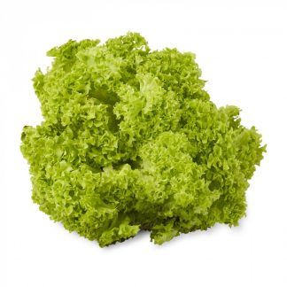 Bionda