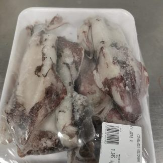 Calamar M Sahariano