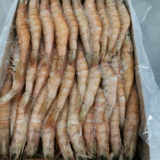 Langostino Nº5 Salvaje