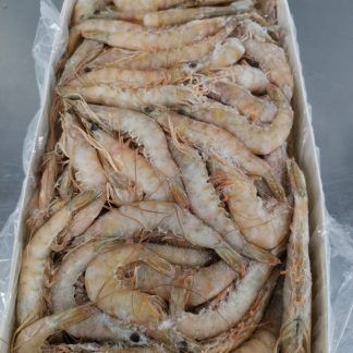 Langostino Nº6 Salvaje