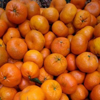 Mandarina peninsula