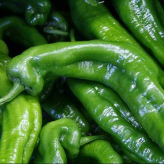 Pimiento italiano
