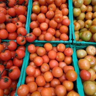 Tomate Canario