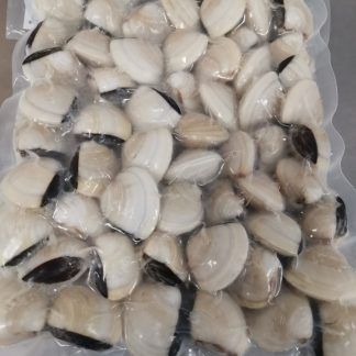 Almeja blanca
