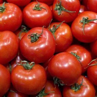 Tomate salsa