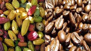 Café y cacao