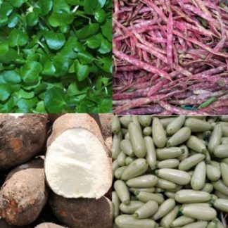 Mix potaje berros