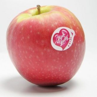 Manzana Pink Lady