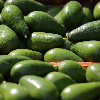 Aguacate fuerte