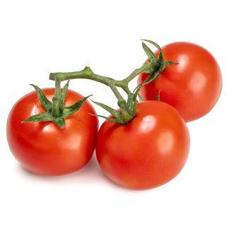 Tomate rama